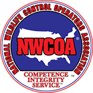 nwcoa